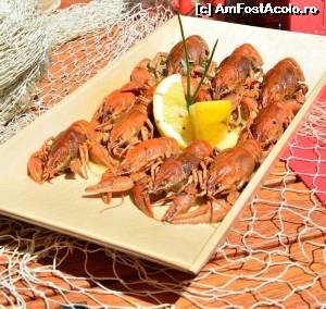 [P05] Platou de raci la Casa Racilor Mamaia » foto by Adriana_B
 - 
<span class="allrVoted glyphicon glyphicon-heart hidden" id="av647916"></span>
<a class="m-l-10 hidden" id="sv647916" onclick="voting_Foto_DelVot(,647916,6877)" role="button">șterge vot <span class="glyphicon glyphicon-remove"></span></a>
<a id="v9647916" class=" c-red"  onclick="voting_Foto_SetVot(647916)" role="button"><span class="glyphicon glyphicon-heart-empty"></span> <b>LIKE</b> = Votează poza</a> <img class="hidden"  id="f647916W9" src="/imagini/loader.gif" border="0" /><span class="AjErrMes hidden" id="e647916ErM"></span>