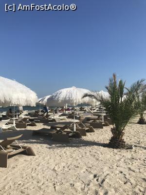 [P28] Snobism. Mamaia 2017 » foto by krisstinna
 - 
<span class="allrVoted glyphicon glyphicon-heart hidden" id="av922876"></span>
<a class="m-l-10 hidden" id="sv922876" onclick="voting_Foto_DelVot(,922876,6877)" role="button">șterge vot <span class="glyphicon glyphicon-remove"></span></a>
<a id="v9922876" class=" c-red"  onclick="voting_Foto_SetVot(922876)" role="button"><span class="glyphicon glyphicon-heart-empty"></span> <b>LIKE</b> = Votează poza</a> <img class="hidden"  id="f922876W9" src="/imagini/loader.gif" border="0" /><span class="AjErrMes hidden" id="e922876ErM"></span>