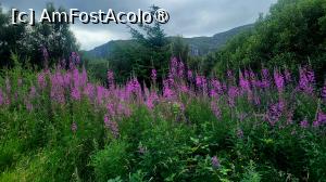 [P42] Pe drumul către vechea școala transformată în B&B » foto by k-lator
 - 
<span class="allrVoted glyphicon glyphicon-heart hidden" id="av1501589"></span>
<a class="m-l-10 hidden" id="sv1501589" onclick="voting_Foto_DelVot(,1501589,6898)" role="button">șterge vot <span class="glyphicon glyphicon-remove"></span></a>
<a id="v91501589" class=" c-red"  onclick="voting_Foto_SetVot(1501589)" role="button"><span class="glyphicon glyphicon-heart-empty"></span> <b>LIKE</b> = Votează poza</a> <img class="hidden"  id="f1501589W9" src="/imagini/loader.gif" border="0" /><span class="AjErrMes hidden" id="e1501589ErM"></span>