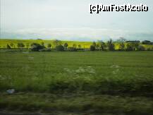 [P01] In drum spre Prestwick Airport, campuri cu rapita (banuiesc ca era rapita). Un galben foarte intens. » foto by TraianS
 - 
<span class="allrVoted glyphicon glyphicon-heart hidden" id="av209164"></span>
<a class="m-l-10 hidden" id="sv209164" onclick="voting_Foto_DelVot(,209164,6898)" role="button">șterge vot <span class="glyphicon glyphicon-remove"></span></a>
<a id="v9209164" class=" c-red"  onclick="voting_Foto_SetVot(209164)" role="button"><span class="glyphicon glyphicon-heart-empty"></span> <b>LIKE</b> = Votează poza</a> <img class="hidden"  id="f209164W9" src="/imagini/loader.gif" border="0" /><span class="AjErrMes hidden" id="e209164ErM"></span>