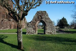 [P41] Sweetheart Abbey » foto by ariciu*
 - 
<span class="allrVoted glyphicon glyphicon-heart hidden" id="av607899"></span>
<a class="m-l-10 hidden" id="sv607899" onclick="voting_Foto_DelVot(,607899,6898)" role="button">șterge vot <span class="glyphicon glyphicon-remove"></span></a>
<a id="v9607899" class=" c-red"  onclick="voting_Foto_SetVot(607899)" role="button"><span class="glyphicon glyphicon-heart-empty"></span> <b>LIKE</b> = Votează poza</a> <img class="hidden"  id="f607899W9" src="/imagini/loader.gif" border="0" /><span class="AjErrMes hidden" id="e607899ErM"></span>