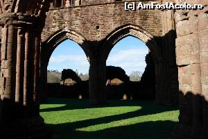 [P45] Sweetheart Abbey - lumini și umbre » foto by ariciu*
 - 
<span class="allrVoted glyphicon glyphicon-heart hidden" id="av607903"></span>
<a class="m-l-10 hidden" id="sv607903" onclick="voting_Foto_DelVot(,607903,6898)" role="button">șterge vot <span class="glyphicon glyphicon-remove"></span></a>
<a id="v9607903" class=" c-red"  onclick="voting_Foto_SetVot(607903)" role="button"><span class="glyphicon glyphicon-heart-empty"></span> <b>LIKE</b> = Votează poza</a> <img class="hidden"  id="f607903W9" src="/imagini/loader.gif" border="0" /><span class="AjErrMes hidden" id="e607903ErM"></span>