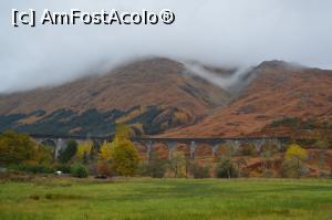 [P17] Viaductul Glenfinnan văzut de jos » foto by ariciu*
 - 
<span class="allrVoted glyphicon glyphicon-heart hidden" id="av812528"></span>
<a class="m-l-10 hidden" id="sv812528" onclick="voting_Foto_DelVot(,812528,6898)" role="button">șterge vot <span class="glyphicon glyphicon-remove"></span></a>
<a id="v9812528" class=" c-red"  onclick="voting_Foto_SetVot(812528)" role="button"><span class="glyphicon glyphicon-heart-empty"></span> <b>LIKE</b> = Votează poza</a> <img class="hidden"  id="f812528W9" src="/imagini/loader.gif" border="0" /><span class="AjErrMes hidden" id="e812528ErM"></span>