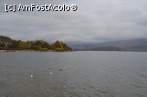 [P02] Loch Lomond » foto by ariciu*
 - 
<span class="allrVoted glyphicon glyphicon-heart hidden" id="av812502"></span>
<a class="m-l-10 hidden" id="sv812502" onclick="voting_Foto_DelVot(,812502,6898)" role="button">șterge vot <span class="glyphicon glyphicon-remove"></span></a>
<a id="v9812502" class=" c-red"  onclick="voting_Foto_SetVot(812502)" role="button"><span class="glyphicon glyphicon-heart-empty"></span> <b>LIKE</b> = Votează poza</a> <img class="hidden"  id="f812502W9" src="/imagini/loader.gif" border="0" /><span class="AjErrMes hidden" id="e812502ErM"></span>