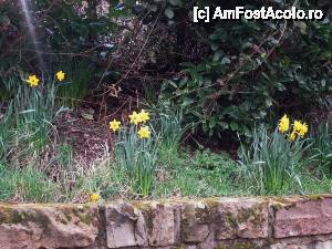 [P17] Pe drum spre Linlithgow » foto by le_maitre
 - 
<span class="allrVoted glyphicon glyphicon-heart hidden" id="av503328"></span>
<a class="m-l-10 hidden" id="sv503328" onclick="voting_Foto_DelVot(,503328,6898)" role="button">șterge vot <span class="glyphicon glyphicon-remove"></span></a>
<a id="v9503328" class=" c-red"  onclick="voting_Foto_SetVot(503328)" role="button"><span class="glyphicon glyphicon-heart-empty"></span> <b>LIKE</b> = Votează poza</a> <img class="hidden"  id="f503328W9" src="/imagini/loader.gif" border="0" /><span class="AjErrMes hidden" id="e503328ErM"></span>