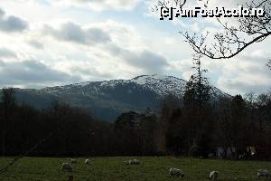 [P46] Între Doune și Balquhidder, pe drumul care ducea la Brig O'Turk. Oi păscând, muntele semeț... de vis!  » foto by le_maitre
 - 
<span class="allrVoted glyphicon glyphicon-heart hidden" id="av503357"></span>
<a class="m-l-10 hidden" id="sv503357" onclick="voting_Foto_DelVot(,503357,6898)" role="button">șterge vot <span class="glyphicon glyphicon-remove"></span></a>
<a id="v9503357" class=" c-red"  onclick="voting_Foto_SetVot(503357)" role="button"><span class="glyphicon glyphicon-heart-empty"></span> <b>LIKE</b> = Votează poza</a> <img class="hidden"  id="f503357W9" src="/imagini/loader.gif" border="0" /><span class="AjErrMes hidden" id="e503357ErM"></span>