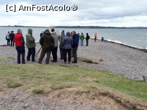 [P38] Farul si rezervatia de la FortRose acolo unde am vazut delfinii. N-am stiut de asta de acasa, ne-a indrumat acolo gazda din Dufftown.  » foto by Aurici
 - 
<span class="allrVoted glyphicon glyphicon-heart hidden" id="av901935"></span>
<a class="m-l-10 hidden" id="sv901935" onclick="voting_Foto_DelVot(,901935,6898)" role="button">șterge vot <span class="glyphicon glyphicon-remove"></span></a>
<a id="v9901935" class=" c-red"  onclick="voting_Foto_SetVot(901935)" role="button"><span class="glyphicon glyphicon-heart-empty"></span> <b>LIKE</b> = Votează poza</a> <img class="hidden"  id="f901935W9" src="/imagini/loader.gif" border="0" /><span class="AjErrMes hidden" id="e901935ErM"></span>