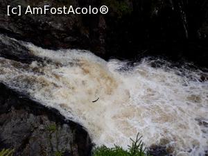 [P39] Cascada Shin, locul unde somonii inoata contra raului ca sa se duca in sus pentru depunerea icrelor. Tot gazda de la Dufftown ne-a trimis acolo. A fost un spectacol extraordinar.  » foto by Aurici
 - 
<span class="allrVoted glyphicon glyphicon-heart hidden" id="av901936"></span>
<a class="m-l-10 hidden" id="sv901936" onclick="voting_Foto_DelVot(,901936,6898)" role="button">șterge vot <span class="glyphicon glyphicon-remove"></span></a>
<a id="v9901936" class=" c-red"  onclick="voting_Foto_SetVot(901936)" role="button"><span class="glyphicon glyphicon-heart-empty"></span> <b>LIKE</b> = Votează poza</a> <img class="hidden"  id="f901936W9" src="/imagini/loader.gif" border="0" /><span class="AjErrMes hidden" id="e901936ErM"></span>