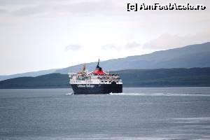 [P26] Oban - spre insule!  » foto by makuy*
 - 
<span class="allrVoted glyphicon glyphicon-heart hidden" id="av656098"></span>
<a class="m-l-10 hidden" id="sv656098" onclick="voting_Foto_DelVot(,656098,6898)" role="button">șterge vot <span class="glyphicon glyphicon-remove"></span></a>
<a id="v9656098" class=" c-red"  onclick="voting_Foto_SetVot(656098)" role="button"><span class="glyphicon glyphicon-heart-empty"></span> <b>LIKE</b> = Votează poza</a> <img class="hidden"  id="f656098W9" src="/imagini/loader.gif" border="0" /><span class="AjErrMes hidden" id="e656098ErM"></span>