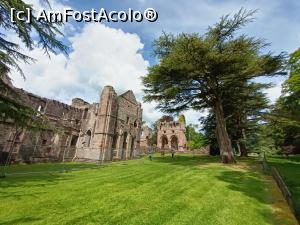 [P29] manastirea Dryburgh foarte aerisita » foto by dawnsash
 - 
<span class="allrVoted glyphicon glyphicon-heart hidden" id="av1304990"></span>
<a class="m-l-10 hidden" id="sv1304990" onclick="voting_Foto_DelVot(,1304990,6898)" role="button">șterge vot <span class="glyphicon glyphicon-remove"></span></a>
<a id="v91304990" class=" c-red"  onclick="voting_Foto_SetVot(1304990)" role="button"><span class="glyphicon glyphicon-heart-empty"></span> <b>LIKE</b> = Votează poza</a> <img class="hidden"  id="f1304990W9" src="/imagini/loader.gif" border="0" /><span class="AjErrMes hidden" id="e1304990ErM"></span>