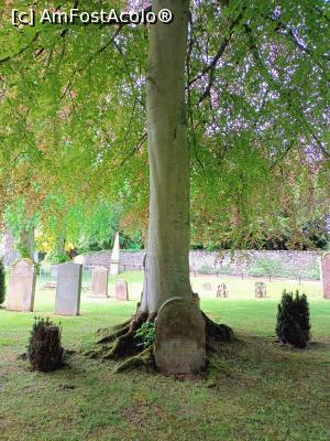 [P31] cimitirul manastirii » foto by dawnsash
 - 
<span class="allrVoted glyphicon glyphicon-heart hidden" id="av1304992"></span>
<a class="m-l-10 hidden" id="sv1304992" onclick="voting_Foto_DelVot(,1304992,6898)" role="button">șterge vot <span class="glyphicon glyphicon-remove"></span></a>
<a id="v91304992" class=" c-red"  onclick="voting_Foto_SetVot(1304992)" role="button"><span class="glyphicon glyphicon-heart-empty"></span> <b>LIKE</b> = Votează poza</a> <img class="hidden"  id="f1304992W9" src="/imagini/loader.gif" border="0" /><span class="AjErrMes hidden" id="e1304992ErM"></span>
