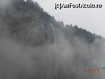 [P23]  -- <small>// FĂRĂ DESCRIERE</small> » foto by Alina Morar
 - 
<span class="allrVoted glyphicon glyphicon-heart hidden" id="av115212"></span>
<a class="m-l-10 hidden" id="sv115212" onclick="voting_Foto_DelVot(,115212,6911)" role="button">șterge vot <span class="glyphicon glyphicon-remove"></span></a>
<a id="v9115212" class=" c-red"  onclick="voting_Foto_SetVot(115212)" role="button"><span class="glyphicon glyphicon-heart-empty"></span> <b>LIKE</b> = Votează poza</a> <img class="hidden"  id="f115212W9" src="/imagini/loader.gif" border="0" /><span class="AjErrMes hidden" id="e115212ErM"></span>