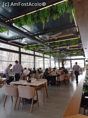 [P11] In salonul al doilea. Pereții vitrați lasă la vedere pădurea. » foto by Rodel
 - 
<span class="allrVoted glyphicon glyphicon-heart hidden" id="av1352383"></span>
<a class="m-l-10 hidden" id="sv1352383" onclick="voting_Foto_DelVot(,1352383,6927)" role="button">șterge vot <span class="glyphicon glyphicon-remove"></span></a>
<a id="v91352383" class=" c-red"  onclick="voting_Foto_SetVot(1352383)" role="button"><span class="glyphicon glyphicon-heart-empty"></span> <b>LIKE</b> = Votează poza</a> <img class="hidden"  id="f1352383W9" src="/imagini/loader.gif" border="0" /><span class="AjErrMes hidden" id="e1352383ErM"></span>