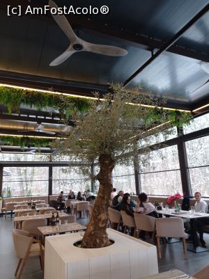 [P06] Un măslin in al doilea salon. » foto by Rodel
 - 
<span class="allrVoted glyphicon glyphicon-heart hidden" id="av1352378"></span>
<a class="m-l-10 hidden" id="sv1352378" onclick="voting_Foto_DelVot(,1352378,6927)" role="button">șterge vot <span class="glyphicon glyphicon-remove"></span></a>
<a id="v91352378" class=" c-red"  onclick="voting_Foto_SetVot(1352378)" role="button"><span class="glyphicon glyphicon-heart-empty"></span> <b>LIKE</b> = Votează poza</a> <img class="hidden"  id="f1352378W9" src="/imagini/loader.gif" border="0" /><span class="AjErrMes hidden" id="e1352378ErM"></span>