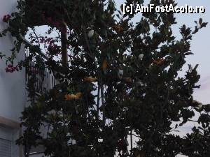 [P50]  -- <small>// FĂRĂ DESCRIERE</small> » foto by goroco
 - 
<span class="allrVoted glyphicon glyphicon-heart hidden" id="av424751"></span>
<a class="m-l-10 hidden" id="sv424751" onclick="voting_Foto_DelVot(,424751,6941)" role="button">șterge vot <span class="glyphicon glyphicon-remove"></span></a>
<a id="v9424751" class=" c-red"  onclick="voting_Foto_SetVot(424751)" role="button"><span class="glyphicon glyphicon-heart-empty"></span> <b>LIKE</b> = Votează poza</a> <img class="hidden"  id="f424751W9" src="/imagini/loader.gif" border="0" /><span class="AjErrMes hidden" id="e424751ErM"></span>