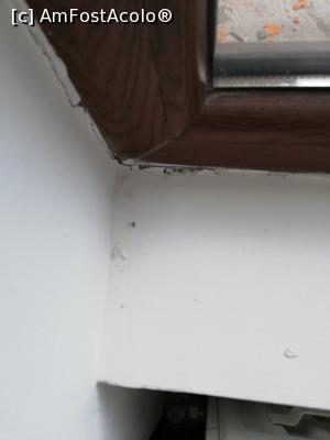 [P13]  -- <small>// FĂRĂ DESCRIERE</small> » foto by goguipse
 - 
<span class="allrVoted glyphicon glyphicon-heart hidden" id="av1083861"></span>
<a class="m-l-10 hidden" id="sv1083861" onclick="voting_Foto_DelVot(,1083861,6943)" role="button">șterge vot <span class="glyphicon glyphicon-remove"></span></a>
<a id="v91083861" class=" c-red"  onclick="voting_Foto_SetVot(1083861)" role="button"><span class="glyphicon glyphicon-heart-empty"></span> <b>LIKE</b> = Votează poza</a> <img class="hidden"  id="f1083861W9" src="/imagini/loader.gif" border="0" /><span class="AjErrMes hidden" id="e1083861ErM"></span>