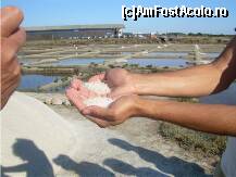 [P06] Sarea de mare este adusa la capatul bazinetelor pe un senal, cu roaba, si de-aici, transportata mai departe cu remorca, spre sectia de 'ambalare' » foto by dorgo
 - 
<span class="allrVoted glyphicon glyphicon-heart hidden" id="av116166"></span>
<a class="m-l-10 hidden" id="sv116166" onclick="voting_Foto_DelVot(,116166,6948)" role="button">șterge vot <span class="glyphicon glyphicon-remove"></span></a>
<a id="v9116166" class=" c-red"  onclick="voting_Foto_SetVot(116166)" role="button"><span class="glyphicon glyphicon-heart-empty"></span> <b>LIKE</b> = Votează poza</a> <img class="hidden"  id="f116166W9" src="/imagini/loader.gif" border="0" /><span class="AjErrMes hidden" id="e116166ErM"></span>