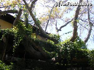 [P25] Palaios Panteleimonas » foto by cossty
 - 
<span class="allrVoted glyphicon glyphicon-heart hidden" id="av460874"></span>
<a class="m-l-10 hidden" id="sv460874" onclick="voting_Foto_DelVot(,460874,6960)" role="button">șterge vot <span class="glyphicon glyphicon-remove"></span></a>
<a id="v9460874" class=" c-red"  onclick="voting_Foto_SetVot(460874)" role="button"><span class="glyphicon glyphicon-heart-empty"></span> <b>LIKE</b> = Votează poza</a> <img class="hidden"  id="f460874W9" src="/imagini/loader.gif" border="0" /><span class="AjErrMes hidden" id="e460874ErM"></span>