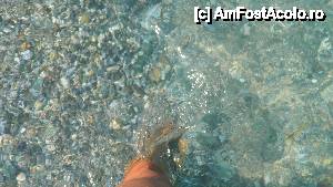 [P15] cam asa arata pietricelele » foto by manuta_1969
 - 
<span class="allrVoted glyphicon glyphicon-heart hidden" id="av399504"></span>
<a class="m-l-10 hidden" id="sv399504" onclick="voting_Foto_DelVot(,399504,6960)" role="button">șterge vot <span class="glyphicon glyphicon-remove"></span></a>
<a id="v9399504" class=" c-red"  onclick="voting_Foto_SetVot(399504)" role="button"><span class="glyphicon glyphicon-heart-empty"></span> <b>LIKE</b> = Votează poza</a> <img class="hidden"  id="f399504W9" src="/imagini/loader.gif" border="0" /><span class="AjErrMes hidden" id="e399504ErM"></span>