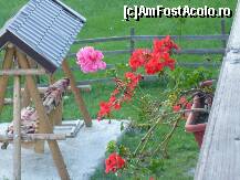 [P04] O alta vedere de la balcon, de asta data spre leaganul din curte. » foto by poll
 - 
<span class="allrVoted glyphicon glyphicon-heart hidden" id="av116975"></span>
<a class="m-l-10 hidden" id="sv116975" onclick="voting_Foto_DelVot(,116975,6964)" role="button">șterge vot <span class="glyphicon glyphicon-remove"></span></a>
<a id="v9116975" class=" c-red"  onclick="voting_Foto_SetVot(116975)" role="button"><span class="glyphicon glyphicon-heart-empty"></span> <b>LIKE</b> = Votează poza</a> <img class="hidden"  id="f116975W9" src="/imagini/loader.gif" border="0" /><span class="AjErrMes hidden" id="e116975ErM"></span>