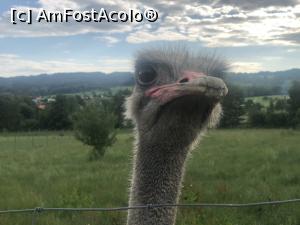 [P10] Dar si din fata » foto by mishu
 - 
<span class="allrVoted glyphicon glyphicon-heart hidden" id="av1203666"></span>
<a class="m-l-10 hidden" id="sv1203666" onclick="voting_Foto_DelVot(,1203666,6968)" role="button">șterge vot <span class="glyphicon glyphicon-remove"></span></a>
<a id="v91203666" class=" c-red"  onclick="voting_Foto_SetVot(1203666)" role="button"><span class="glyphicon glyphicon-heart-empty"></span> <b>LIKE</b> = Votează poza</a> <img class="hidden"  id="f1203666W9" src="/imagini/loader.gif" border="0" /><span class="AjErrMes hidden" id="e1203666ErM"></span>