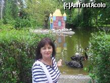 [P19] Poza mea preferata,din Palic! » foto by georgiana
 - 
<span class="allrVoted glyphicon glyphicon-heart hidden" id="av117675"></span>
<a class="m-l-10 hidden" id="sv117675" onclick="voting_Foto_DelVot(,117675,6986)" role="button">șterge vot <span class="glyphicon glyphicon-remove"></span></a>
<a id="v9117675" class=" c-red"  onclick="voting_Foto_SetVot(117675)" role="button"><span class="glyphicon glyphicon-heart-empty"></span> <b>LIKE</b> = Votează poza</a> <img class="hidden"  id="f117675W9" src="/imagini/loader.gif" border="0" /><span class="AjErrMes hidden" id="e117675ErM"></span>