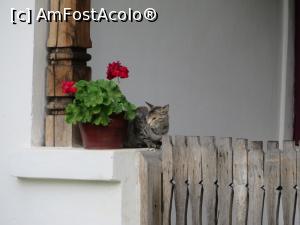 [P21] Liniște - Mănăstirea Zamfira.  » foto by tata123 🔱
 - 
<span class="allrVoted glyphicon glyphicon-heart hidden" id="av910329"></span>
<a class="m-l-10 hidden" id="sv910329" onclick="voting_Foto_DelVot(,910329,7003)" role="button">șterge vot <span class="glyphicon glyphicon-remove"></span></a>
<a id="v9910329" class=" c-red"  onclick="voting_Foto_SetVot(910329)" role="button"><span class="glyphicon glyphicon-heart-empty"></span> <b>LIKE</b> = Votează poza</a> <img class="hidden"  id="f910329W9" src="/imagini/loader.gif" border="0" /><span class="AjErrMes hidden" id="e910329ErM"></span>