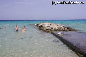 [P35] Digul de la plaja Delfinia. Atenţie, în capătul digului, pe stânci, mai sunt arici de mare. Dacă nu puteţi mâna pe stânci, nu e niciun pericol, în apă, mai departe de ele, nu am văzut niciunul.  » foto by cher-cher
 - 
<span class="allrVoted glyphicon glyphicon-heart hidden" id="av527189"></span>
<a class="m-l-10 hidden" id="sv527189" onclick="voting_Foto_DelVot(,527189,7004)" role="button">șterge vot <span class="glyphicon glyphicon-remove"></span></a>
<a id="v9527189" class=" c-red"  onclick="voting_Foto_SetVot(527189)" role="button"><span class="glyphicon glyphicon-heart-empty"></span> <b>LIKE</b> = Votează poza</a> <img class="hidden"  id="f527189W9" src="/imagini/loader.gif" border="0" /><span class="AjErrMes hidden" id="e527189ErM"></span>