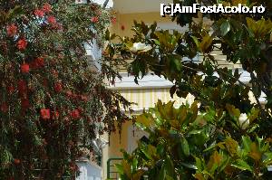 [P09] Orice culoare îți place: floare albă de ficus » foto by Dabator
 - 
<span class="allrVoted glyphicon glyphicon-heart hidden" id="av701043"></span>
<a class="m-l-10 hidden" id="sv701043" onclick="voting_Foto_DelVot(,701043,7004)" role="button">șterge vot <span class="glyphicon glyphicon-remove"></span></a>
<a id="v9701043" class=" c-red"  onclick="voting_Foto_SetVot(701043)" role="button"><span class="glyphicon glyphicon-heart-empty"></span> <b>LIKE</b> = Votează poza</a> <img class="hidden"  id="f701043W9" src="/imagini/loader.gif" border="0" /><span class="AjErrMes hidden" id="e701043ErM"></span>
