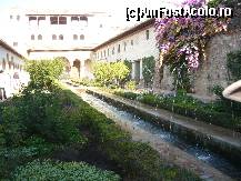 [P14] imagine din gradinile Generalife » foto by amero
 - 
<span class="allrVoted glyphicon glyphicon-heart hidden" id="av306522"></span>
<a class="m-l-10 hidden" id="sv306522" onclick="voting_Foto_DelVot(,306522,7020)" role="button">șterge vot <span class="glyphicon glyphicon-remove"></span></a>
<a id="v9306522" class=" c-red"  onclick="voting_Foto_SetVot(306522)" role="button"><span class="glyphicon glyphicon-heart-empty"></span> <b>LIKE</b> = Votează poza</a> <img class="hidden"  id="f306522W9" src="/imagini/loader.gif" border="0" /><span class="AjErrMes hidden" id="e306522ErM"></span>
