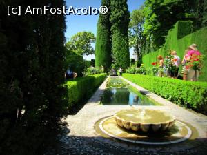 [P12] Gradinile Generalife » foto by simplegirl
 - 
<span class="allrVoted glyphicon glyphicon-heart hidden" id="av990815"></span>
<a class="m-l-10 hidden" id="sv990815" onclick="voting_Foto_DelVot(,990815,7020)" role="button">șterge vot <span class="glyphicon glyphicon-remove"></span></a>
<a id="v9990815" class=" c-red"  onclick="voting_Foto_SetVot(990815)" role="button"><span class="glyphicon glyphicon-heart-empty"></span> <b>LIKE</b> = Votează poza</a> <img class="hidden"  id="f990815W9" src="/imagini/loader.gif" border="0" /><span class="AjErrMes hidden" id="e990815ErM"></span>