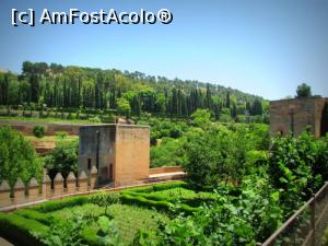 [P14] Alhambra » foto by simplegirl
 - 
<span class="allrVoted glyphicon glyphicon-heart hidden" id="av990817"></span>
<a class="m-l-10 hidden" id="sv990817" onclick="voting_Foto_DelVot(,990817,7020)" role="button">șterge vot <span class="glyphicon glyphicon-remove"></span></a>
<a id="v9990817" class=" c-red"  onclick="voting_Foto_SetVot(990817)" role="button"><span class="glyphicon glyphicon-heart-empty"></span> <b>LIKE</b> = Votează poza</a> <img class="hidden"  id="f990817W9" src="/imagini/loader.gif" border="0" /><span class="AjErrMes hidden" id="e990817ErM"></span>