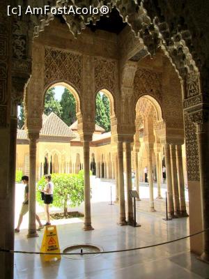 [P09] Detalii superbe in Palatele Nasrid » foto by simplegirl
 - 
<span class="allrVoted glyphicon glyphicon-heart hidden" id="av990809"></span>
<a class="m-l-10 hidden" id="sv990809" onclick="voting_Foto_DelVot(,990809,7020)" role="button">șterge vot <span class="glyphicon glyphicon-remove"></span></a>
<a id="v9990809" class=" c-red"  onclick="voting_Foto_SetVot(990809)" role="button"><span class="glyphicon glyphicon-heart-empty"></span> <b>LIKE</b> = Votează poza</a> <img class="hidden"  id="f990809W9" src="/imagini/loader.gif" border="0" /><span class="AjErrMes hidden" id="e990809ErM"></span>
