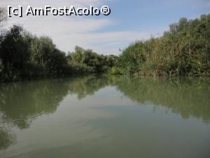 [P14] Cu barca pe canalul Dunavăţ.  » foto by Carmen Ion
 - 
<span class="allrVoted glyphicon glyphicon-heart hidden" id="av822495"></span>
<a class="m-l-10 hidden" id="sv822495" onclick="voting_Foto_DelVot(,822495,7034)" role="button">șterge vot <span class="glyphicon glyphicon-remove"></span></a>
<a id="v9822495" class=" c-red"  onclick="voting_Foto_SetVot(822495)" role="button"><span class="glyphicon glyphicon-heart-empty"></span> <b>LIKE</b> = Votează poza</a> <img class="hidden"  id="f822495W9" src="/imagini/loader.gif" border="0" /><span class="AjErrMes hidden" id="e822495ErM"></span>