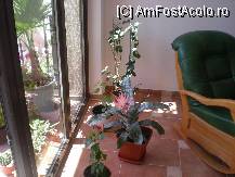 [P05] in fata receptiei (un fotoliu foarte comod...) » foto by gcorneille*
 - 
<span class="allrVoted glyphicon glyphicon-heart hidden" id="av119727"></span>
<a class="m-l-10 hidden" id="sv119727" onclick="voting_Foto_DelVot(,119727,7047)" role="button">șterge vot <span class="glyphicon glyphicon-remove"></span></a>
<a id="v9119727" class=" c-red"  onclick="voting_Foto_SetVot(119727)" role="button"><span class="glyphicon glyphicon-heart-empty"></span> <b>LIKE</b> = Votează poza</a> <img class="hidden"  id="f119727W9" src="/imagini/loader.gif" border="0" /><span class="AjErrMes hidden" id="e119727ErM"></span>