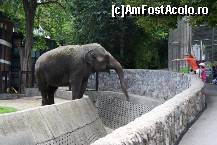 [P47] Parcul Kalemegdan - Grădina Zoologică - elefănțelul extrem de simpatic » foto by ariciu*
 - 
<span class="allrVoted glyphicon glyphicon-heart hidden" id="av469288"></span>
<a class="m-l-10 hidden" id="sv469288" onclick="voting_Foto_DelVot(,469288,7062)" role="button">șterge vot <span class="glyphicon glyphicon-remove"></span></a>
<a id="v9469288" class=" c-red"  onclick="voting_Foto_SetVot(469288)" role="button"><span class="glyphicon glyphicon-heart-empty"></span> <b>LIKE</b> = Votează poza</a> <img class="hidden"  id="f469288W9" src="/imagini/loader.gif" border="0" /><span class="AjErrMes hidden" id="e469288ErM"></span>