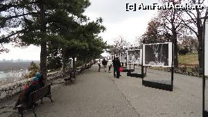 [P05] Belgrad: Parcul Kalemegdan » foto by zuftim
 - 
<span class="allrVoted glyphicon glyphicon-heart hidden" id="av583123"></span>
<a class="m-l-10 hidden" id="sv583123" onclick="voting_Foto_DelVot(,583123,7062)" role="button">șterge vot <span class="glyphicon glyphicon-remove"></span></a>
<a id="v9583123" class=" c-red"  onclick="voting_Foto_SetVot(583123)" role="button"><span class="glyphicon glyphicon-heart-empty"></span> <b>LIKE</b> = Votează poza</a> <img class="hidden"  id="f583123W9" src="/imagini/loader.gif" border="0" /><span class="AjErrMes hidden" id="e583123ErM"></span>