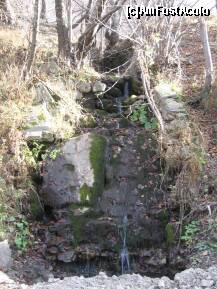[P17] O cascada mica a unui parau micut de pe marginea drumului. » foto by sharky1973
 - 
<span class="allrVoted glyphicon glyphicon-heart hidden" id="av163755"></span>
<a class="m-l-10 hidden" id="sv163755" onclick="voting_Foto_DelVot(,163755,7079)" role="button">șterge vot <span class="glyphicon glyphicon-remove"></span></a>
<a id="v9163755" class=" c-red"  onclick="voting_Foto_SetVot(163755)" role="button"><span class="glyphicon glyphicon-heart-empty"></span> <b>LIKE</b> = Votează poza</a> <img class="hidden"  id="f163755W9" src="/imagini/loader.gif" border="0" /><span class="AjErrMes hidden" id="e163755ErM"></span>