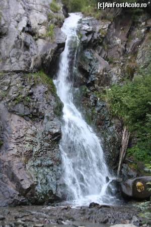 [P11] si mica mireasa-cascada Varciorog » foto by DOINITA
 - 
<span class="allrVoted glyphicon glyphicon-heart hidden" id="av539134"></span>
<a class="m-l-10 hidden" id="sv539134" onclick="voting_Foto_DelVot(,539134,7135)" role="button">șterge vot <span class="glyphicon glyphicon-remove"></span></a>
<a id="v9539134" class=" c-red"  onclick="voting_Foto_SetVot(539134)" role="button"><span class="glyphicon glyphicon-heart-empty"></span> <b>LIKE</b> = Votează poza</a> <img class="hidden"  id="f539134W9" src="/imagini/loader.gif" border="0" /><span class="AjErrMes hidden" id="e539134ErM"></span>