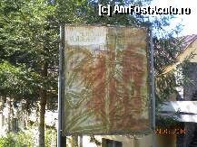 [P03] O harta cam stearsa in zona Barajului Lesu » foto by Alina Morar
 - 
<span class="allrVoted glyphicon glyphicon-heart hidden" id="av140177"></span>
<a class="m-l-10 hidden" id="sv140177" onclick="voting_Foto_DelVot(,140177,7135)" role="button">șterge vot <span class="glyphicon glyphicon-remove"></span></a>
<a id="v9140177" class=" c-red"  onclick="voting_Foto_SetVot(140177)" role="button"><span class="glyphicon glyphicon-heart-empty"></span> <b>LIKE</b> = Votează poza</a> <img class="hidden"  id="f140177W9" src="/imagini/loader.gif" border="0" /><span class="AjErrMes hidden" id="e140177ErM"></span>