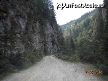 [P02] Peisajele salbatice din Cheile Somesului Rece » foto by Alina Morar
 - 
<span class="allrVoted glyphicon glyphicon-heart hidden" id="av154662"></span>
<a class="m-l-10 hidden" id="sv154662" onclick="voting_Foto_DelVot(,154662,7135)" role="button">șterge vot <span class="glyphicon glyphicon-remove"></span></a>
<a id="v9154662" class=" c-red"  onclick="voting_Foto_SetVot(154662)" role="button"><span class="glyphicon glyphicon-heart-empty"></span> <b>LIKE</b> = Votează poza</a> <img class="hidden"  id="f154662W9" src="/imagini/loader.gif" border="0" /><span class="AjErrMes hidden" id="e154662ErM"></span>
