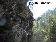[P03] Stanci gata sa se pravaleasca pe noi » foto by Alina Morar
 - 
<span class="allrVoted glyphicon glyphicon-heart hidden" id="av154663"></span>
<a class="m-l-10 hidden" id="sv154663" onclick="voting_Foto_DelVot(,154663,7135)" role="button">șterge vot <span class="glyphicon glyphicon-remove"></span></a>
<a id="v9154663" class=" c-red"  onclick="voting_Foto_SetVot(154663)" role="button"><span class="glyphicon glyphicon-heart-empty"></span> <b>LIKE</b> = Votează poza</a> <img class="hidden"  id="f154663W9" src="/imagini/loader.gif" border="0" /><span class="AjErrMes hidden" id="e154663ErM"></span>