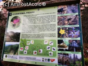 [P37] Panou infomativ » foto by cata2106
 - 
<span class="allrVoted glyphicon glyphicon-heart hidden" id="av1271818"></span>
<a class="m-l-10 hidden" id="sv1271818" onclick="voting_Foto_DelVot(,1271818,7135)" role="button">șterge vot <span class="glyphicon glyphicon-remove"></span></a>
<a id="v91271818" class=" c-red"  onclick="voting_Foto_SetVot(1271818)" role="button"><span class="glyphicon glyphicon-heart-empty"></span> <b>LIKE</b> = Votează poza</a> <img class="hidden"  id="f1271818W9" src="/imagini/loader.gif" border="0" /><span class="AjErrMes hidden" id="e1271818ErM"></span>