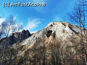[P63] Coșul Boului » foto by cata2106
 - 
<span class="allrVoted glyphicon glyphicon-heart hidden" id="av1271844"></span>
<a class="m-l-10 hidden" id="sv1271844" onclick="voting_Foto_DelVot(,1271844,7135)" role="button">șterge vot <span class="glyphicon glyphicon-remove"></span></a>
<a id="v91271844" class=" c-red"  onclick="voting_Foto_SetVot(1271844)" role="button"><span class="glyphicon glyphicon-heart-empty"></span> <b>LIKE</b> = Votează poza</a> <img class="hidden"  id="f1271844W9" src="/imagini/loader.gif" border="0" /><span class="AjErrMes hidden" id="e1271844ErM"></span>