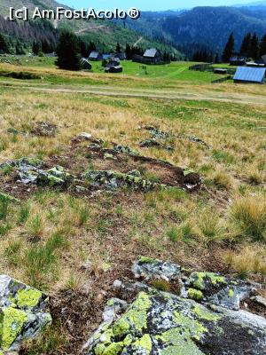 [P08] Ici-colo se ițește piatra, doar suntem în „ținutul pietrei”. » foto by tata123 🔱
 - 
<span class="allrVoted glyphicon glyphicon-heart hidden" id="av1342100"></span>
<a class="m-l-10 hidden" id="sv1342100" onclick="voting_Foto_DelVot(,1342100,7135)" role="button">șterge vot <span class="glyphicon glyphicon-remove"></span></a>
<a id="v91342100" class=" c-red"  onclick="voting_Foto_SetVot(1342100)" role="button"><span class="glyphicon glyphicon-heart-empty"></span> <b>LIKE</b> = Votează poza</a> <img class="hidden"  id="f1342100W9" src="/imagini/loader.gif" border="0" /><span class="AjErrMes hidden" id="e1342100ErM"></span>