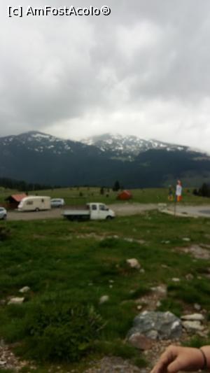 [P10] În zona Stâna lui Ștefan » foto by adrianaglogo
 - 
<span class="allrVoted glyphicon glyphicon-heart hidden" id="av1077568"></span>
<a class="m-l-10 hidden" id="sv1077568" onclick="voting_Foto_DelVot(,1077568,7149)" role="button">șterge vot <span class="glyphicon glyphicon-remove"></span></a>
<a id="v91077568" class=" c-red"  onclick="voting_Foto_SetVot(1077568)" role="button"><span class="glyphicon glyphicon-heart-empty"></span> <b>LIKE</b> = Votează poza</a> <img class="hidden"  id="f1077568W9" src="/imagini/loader.gif" border="0" /><span class="AjErrMes hidden" id="e1077568ErM"></span>