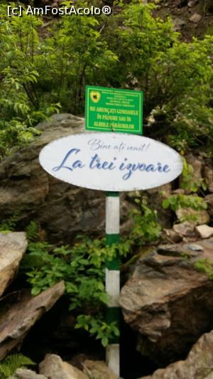[P16] La trei izvoare » foto by adrianaglogo
 - 
<span class="allrVoted glyphicon glyphicon-heart hidden" id="av1077574"></span>
<a class="m-l-10 hidden" id="sv1077574" onclick="voting_Foto_DelVot(,1077574,7149)" role="button">șterge vot <span class="glyphicon glyphicon-remove"></span></a>
<a id="v91077574" class=" c-red"  onclick="voting_Foto_SetVot(1077574)" role="button"><span class="glyphicon glyphicon-heart-empty"></span> <b>LIKE</b> = Votează poza</a> <img class="hidden"  id="f1077574W9" src="/imagini/loader.gif" border="0" /><span class="AjErrMes hidden" id="e1077574ErM"></span>