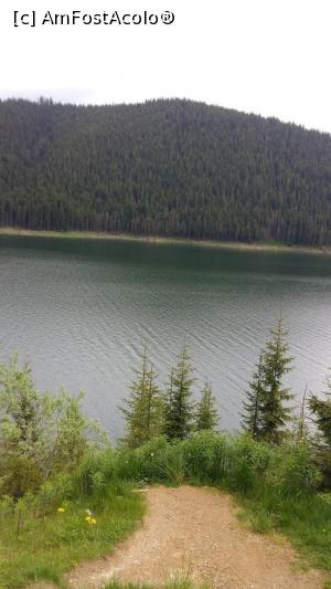 [P06] Lacul Vidra » foto by adrianaglogo
 - 
<span class="allrVoted glyphicon glyphicon-heart hidden" id="av1077564"></span>
<a class="m-l-10 hidden" id="sv1077564" onclick="voting_Foto_DelVot(,1077564,7149)" role="button">șterge vot <span class="glyphicon glyphicon-remove"></span></a>
<a id="v91077564" class=" c-red"  onclick="voting_Foto_SetVot(1077564)" role="button"><span class="glyphicon glyphicon-heart-empty"></span> <b>LIKE</b> = Votează poza</a> <img class="hidden"  id="f1077564W9" src="/imagini/loader.gif" border="0" /><span class="AjErrMes hidden" id="e1077564ErM"></span>