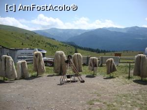 [P16] Stâna Ștefanu - Amenajare în exteriorul stânei.  » foto by Floryn81
 - 
<span class="allrVoted glyphicon glyphicon-heart hidden" id="av929382"></span>
<a class="m-l-10 hidden" id="sv929382" onclick="voting_Foto_DelVot(,929382,7149)" role="button">șterge vot <span class="glyphicon glyphicon-remove"></span></a>
<a id="v9929382" class=" c-red"  onclick="voting_Foto_SetVot(929382)" role="button"><span class="glyphicon glyphicon-heart-empty"></span> <b>LIKE</b> = Votează poza</a> <img class="hidden"  id="f929382W9" src="/imagini/loader.gif" border="0" /><span class="AjErrMes hidden" id="e929382ErM"></span>