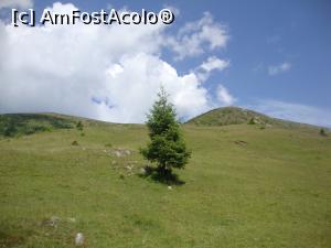 [P09] Transalpina - Admiram peisajele din jur. » foto by Floryn81
 - 
<span class="allrVoted glyphicon glyphicon-heart hidden" id="av929375"></span>
<a class="m-l-10 hidden" id="sv929375" onclick="voting_Foto_DelVot(,929375,7149)" role="button">șterge vot <span class="glyphicon glyphicon-remove"></span></a>
<a id="v9929375" class=" c-red"  onclick="voting_Foto_SetVot(929375)" role="button"><span class="glyphicon glyphicon-heart-empty"></span> <b>LIKE</b> = Votează poza</a> <img class="hidden"  id="f929375W9" src="/imagini/loader.gif" border="0" /><span class="AjErrMes hidden" id="e929375ErM"></span>